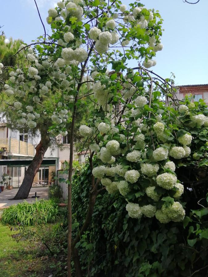 Chambre D'Hotes Pmr Hildegarde Moissac Kültér fotó